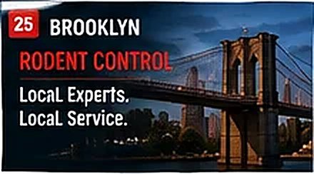 Rodent control in Brooklyn, New York