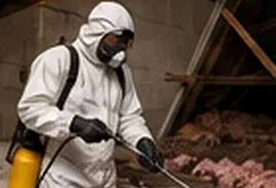 Rodent control for Healthcare Facilities in NYC