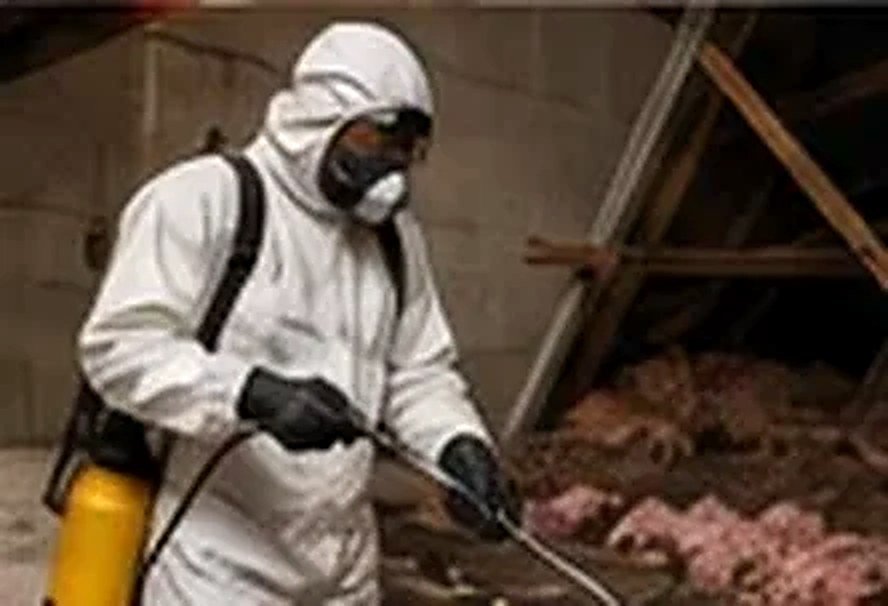 Sanitation and disinfection after rodent activity in Staten Island