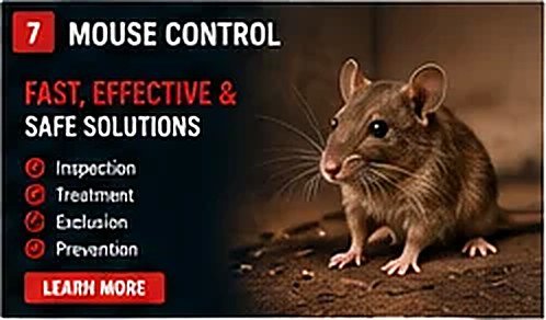 Mouse Control service in New York City