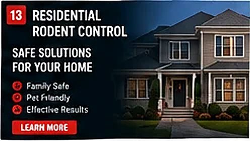 Rodent control for Property Managers in NYC